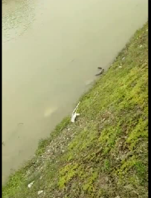 客車自動破窗裝置,遙控自動破玻器,破窗器,南冠破玻器 客車自動破窗裝置,遙控自動破玻器,破窗器,南冠破玻器